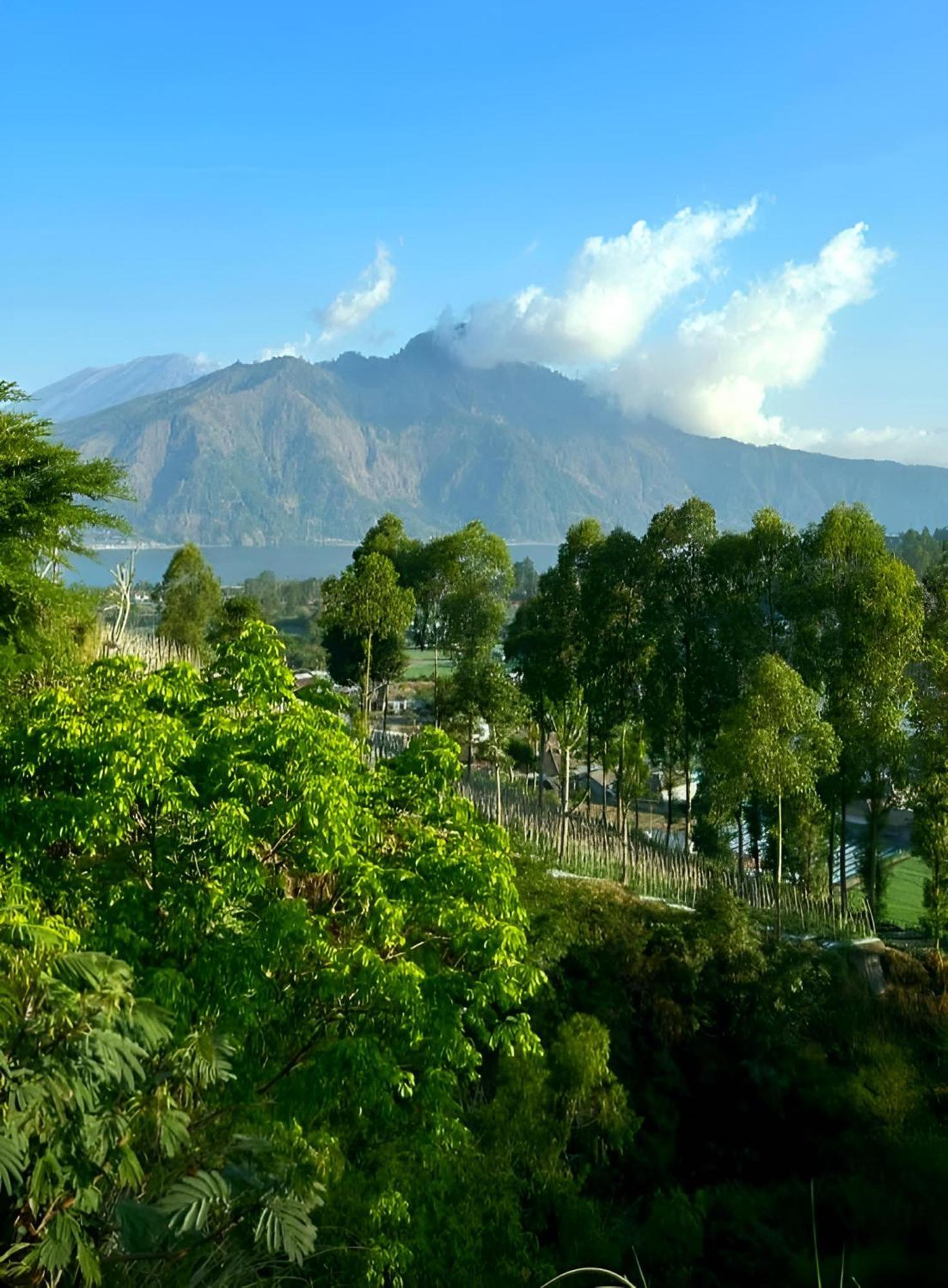Hillside Bali Bed & Breakfast Kubupenlokan Luaran gambar