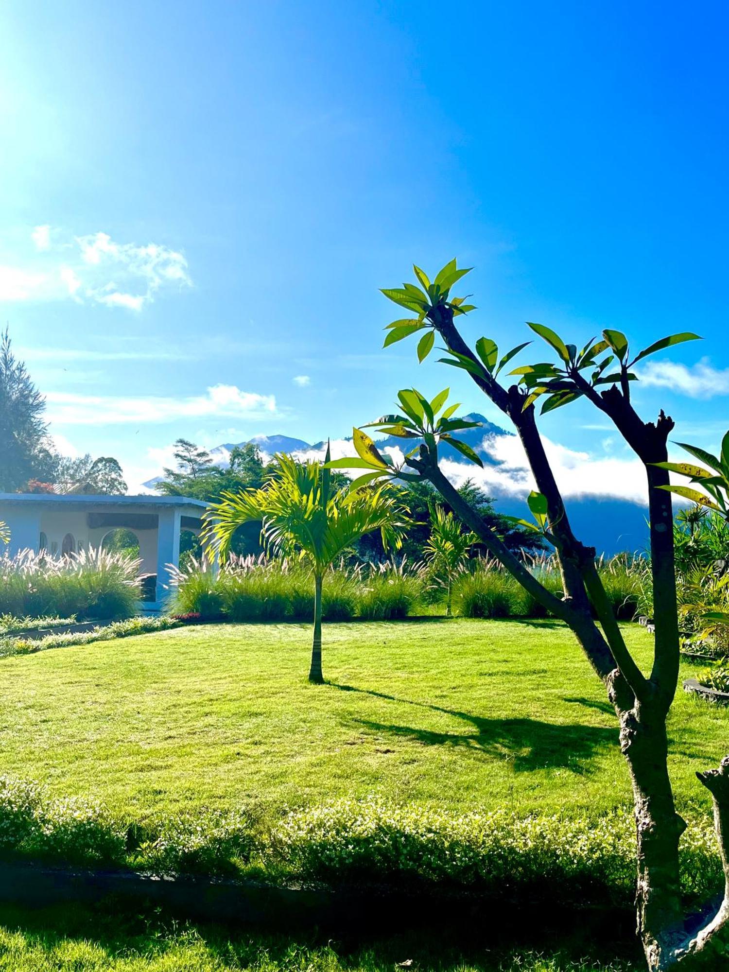 Hillside Bali Bed & Breakfast Kubupenlokan Luaran gambar